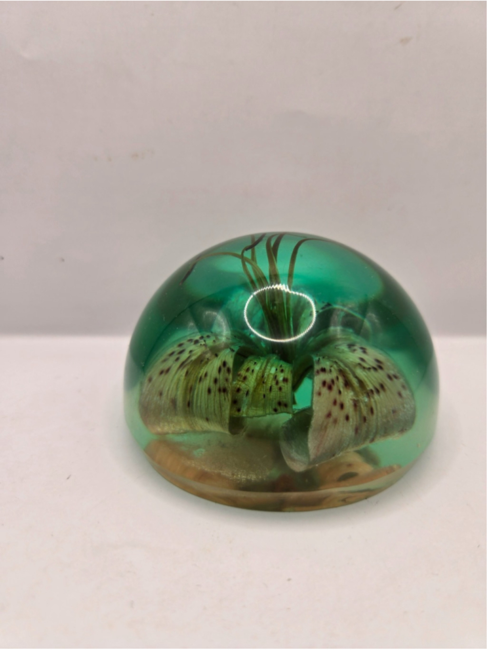 Greenish Tinted Dome Paperweight with Flower Resin Acrylic 3.5”